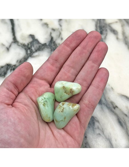 Rodado de Crisoprasa – Minerales de Colección