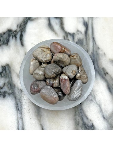 Rodado de Xilópalo – Minerales de Colección