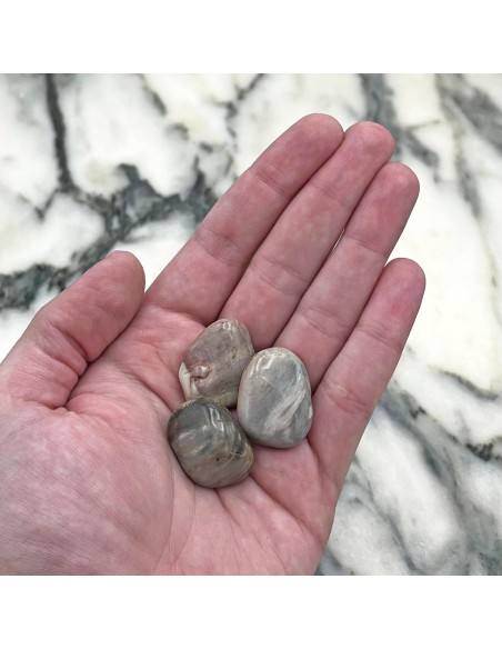 Rodado de Xilópalo – Minerales de Colección